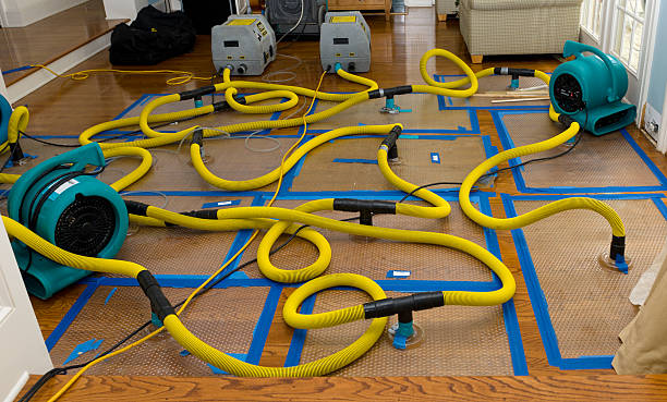 Professional Crawl Space Water Removal technician working in Stanton, MO